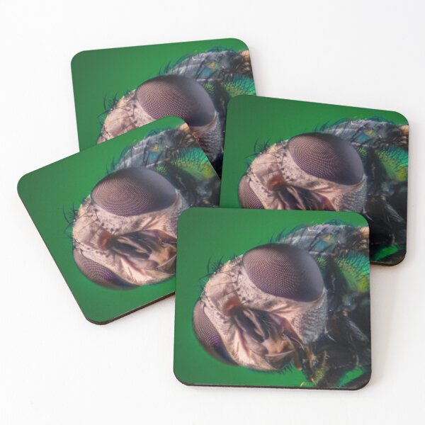 Item preview, Look me in the eye | The gold fly designed and sold by BBPGallery.