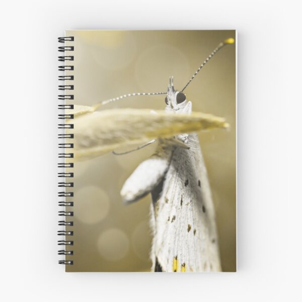Item preview, Butterfly Workout | The garden tan designed and sold by BBPGallery.