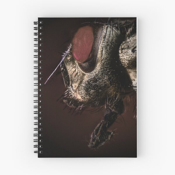 Item preview, The horror fly | Macro photography of a common housefly designed and sold by BBPGallery.