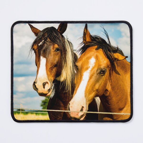 Item preview, In the paddock designed and sold by BBPGallery.