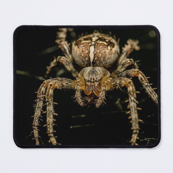Item preview, Monsters in the dark designed and sold by BBPGallery.