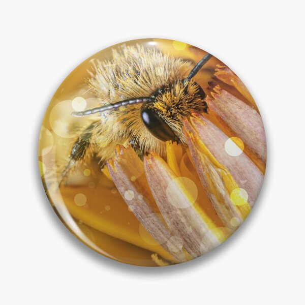 Item preview, Golden Times | The dark-fringed trouser bee designed and sold by BBPGallery.