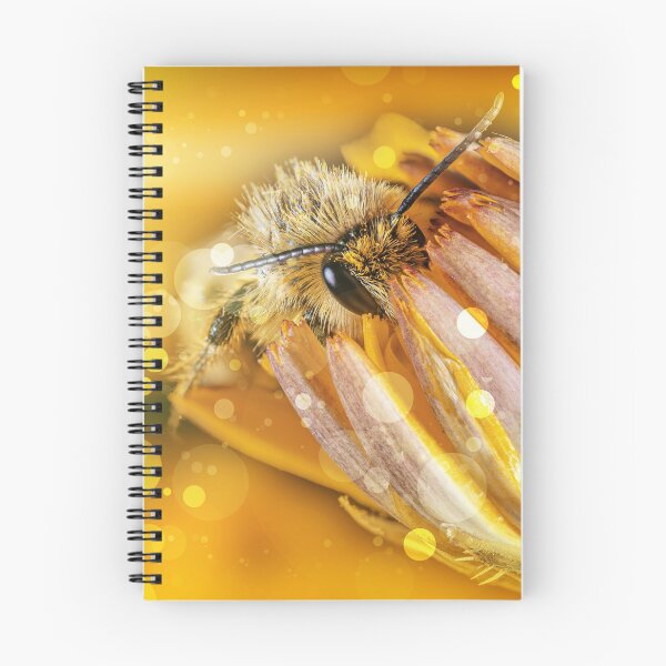 Item preview, Golden Times | The dark-fringed trouser bee designed and sold by BBPGallery.