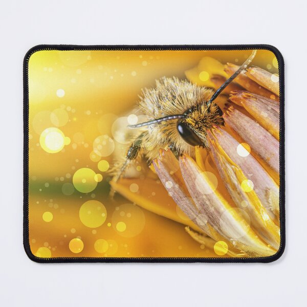 Item preview, Golden Times | The dark-fringed trouser bee designed and sold by BBPGallery.