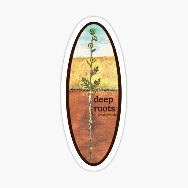 Deep Roots Tallgrass Prairie Wildflower Cross-Section Sticker
