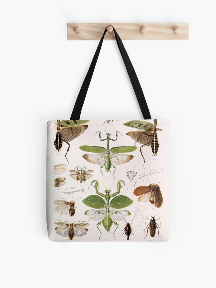 Psila fimetaria Rust Fly Insect Tote Bag by Frank Ramspott - Fine Art  America