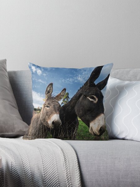 Item preview, Donkeys 2 designed and sold by TonyPriestley.