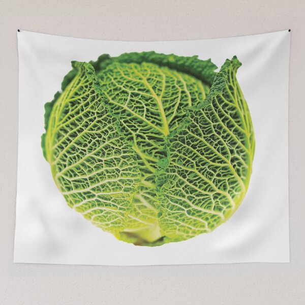 Item preview, Cabbage designed and sold by Carocas20.