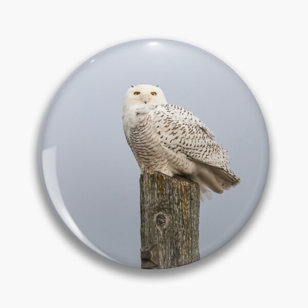 Item preview, Snowy Owl 2021-1 designed and sold by Thomasyoung.