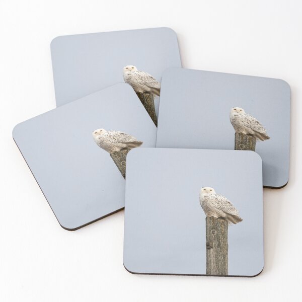 Item preview, Snowy Owl 2021-1 designed and sold by Thomasyoung.