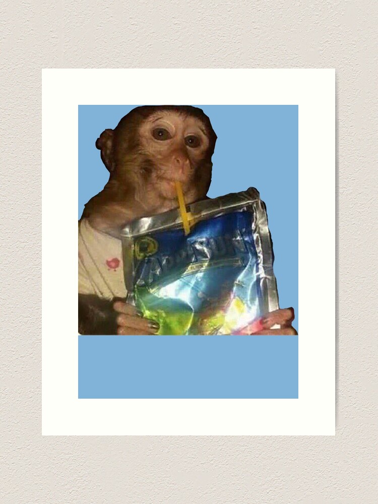 Monkey sipping caprisun meme Photographic Print for Sale by janenovacane