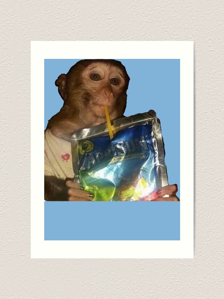 Monkey sipping caprisun meme | Photographic Print