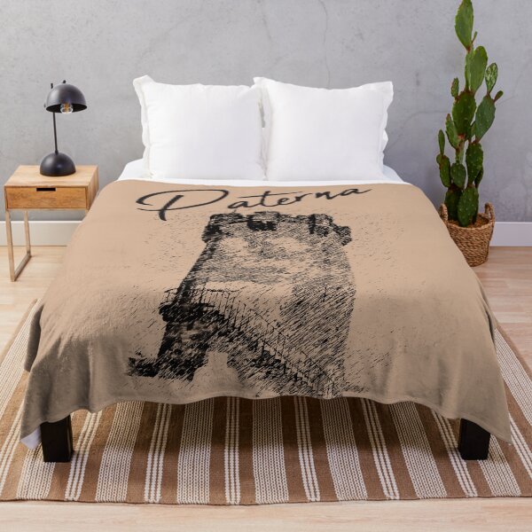 Item preview, Paterna, una ciutat de la Comunitat Valenciana designed and sold by StencilMyst ..