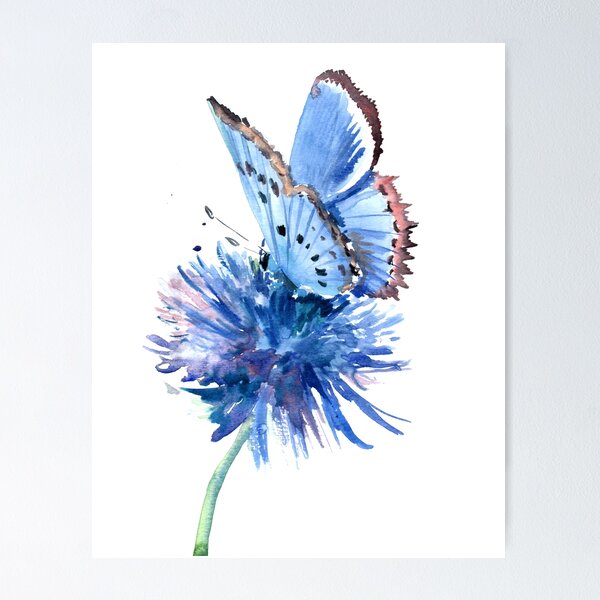 Butterfly Flower Watercolor Wall Art for Sale