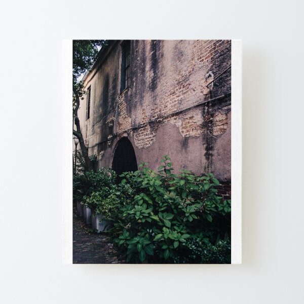 Historic Alleyway Canvas Mounted Print