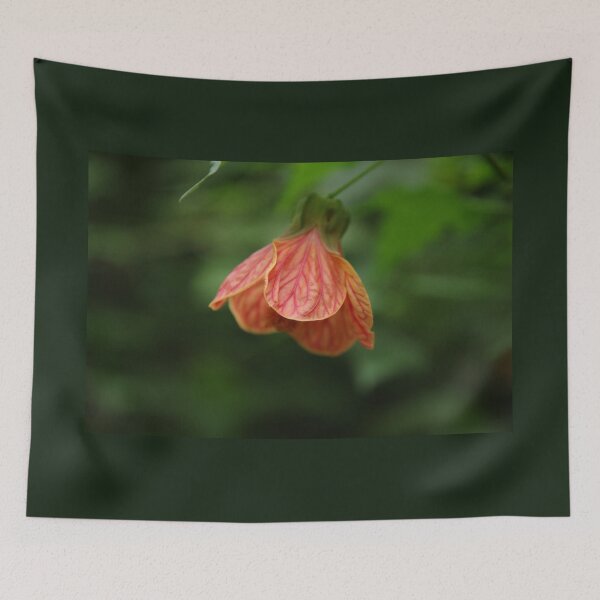 Item preview, Chinese Lantern Flower designed and sold by Honey Myrtle Studio.