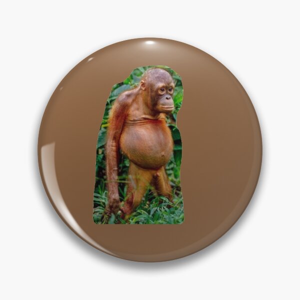 Item preview, Potbelly Orangutan designed and sold by Bank-Empty.