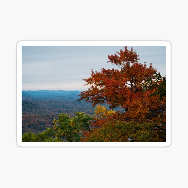 Blue Ridge Mountain Autumn Tree Sticker