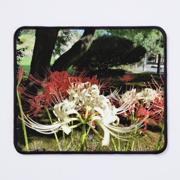 Item preview, Japanese Spider Lily designed and sold by Cerulescence.