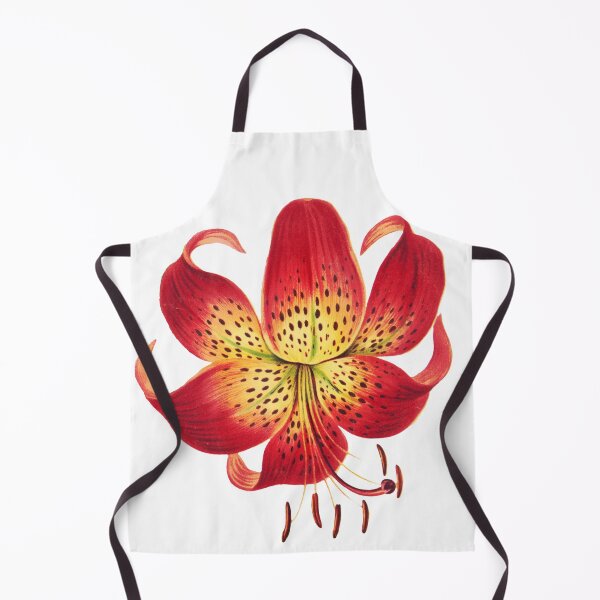Item preview, Tiger Lily Vintage Illustration by L. Prang & Co. designed and sold by Happy-Trails.