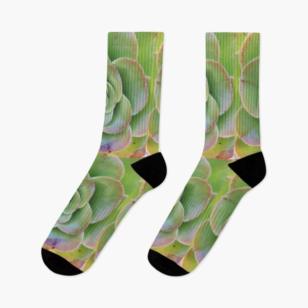 Item preview, Green Succulent designed and sold by Honey Myrtle Studio.