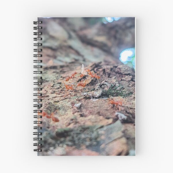 Item preview, Ants  designed and sold by GreenDots.