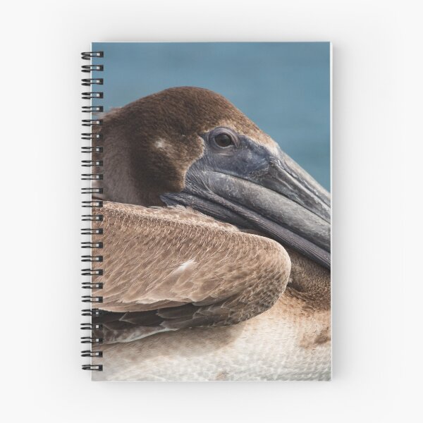 Item preview, The Pelican at Rest designed and sold by Anthony Canali - Wimax - IQ: The Little Shop of Printables.