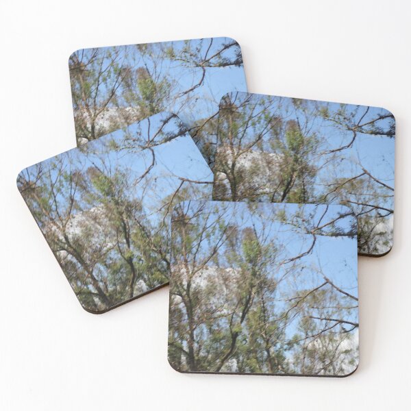 Item preview, photo effect  designed and sold by Jodie Cooper.