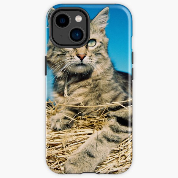 Tigga iPhone Tough Case