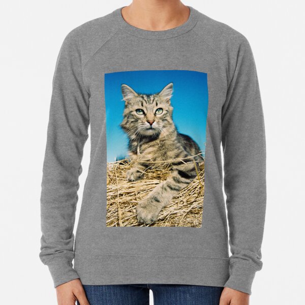 Tigga Lightweight Sweatshirt