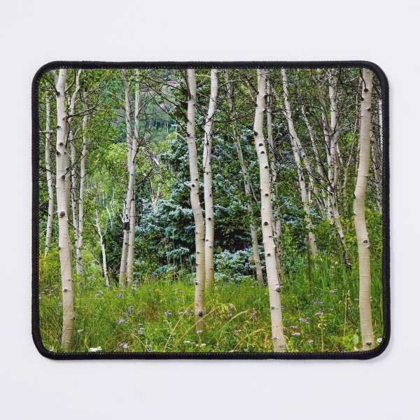 Item preview, Etherial Aspen designed and sold by ehlphotography.
