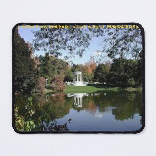 Item preview, Mary Baker Eddy Memorial Art designed and sold by Alicefish.