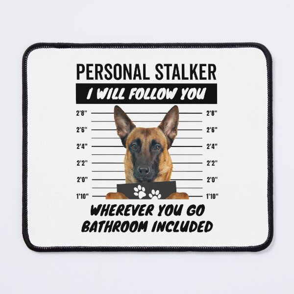 Item preview, Personal Stalker Belgian Sherpherd Dog – Pastor Belga Malinois designed and sold by More Cute Dogs.