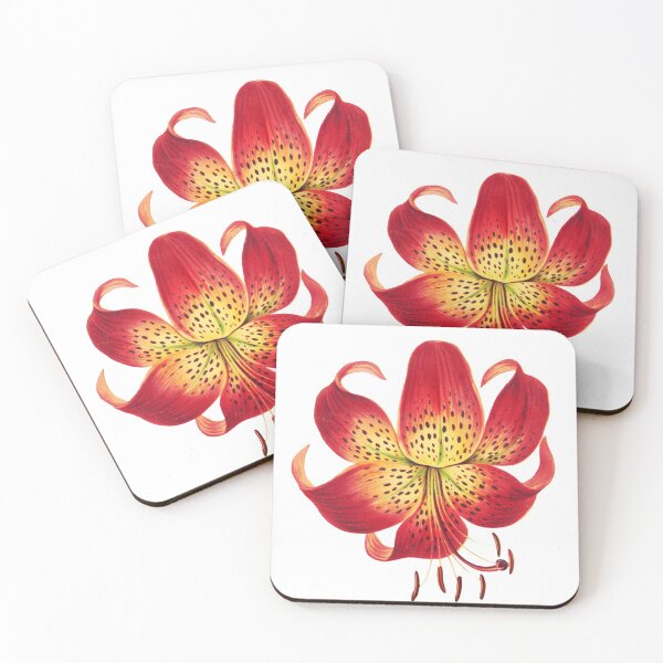 Item preview, Tiger Lily Vintage Illustration by L. Prang & Co. designed and sold by Happy-Trails.