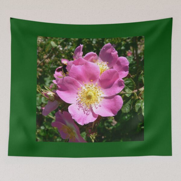 Item preview, Rose designed and sold by Sara 2000.