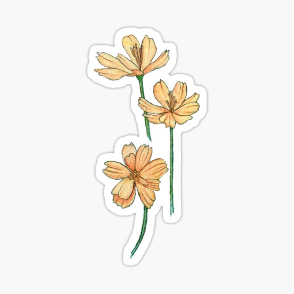 Sulfur Cosmos Watercolor Sticker