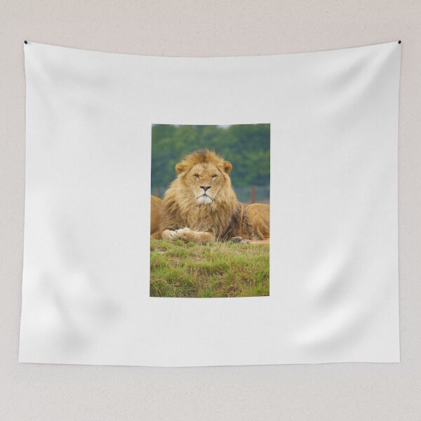 Item preview, Pride designed and sold by Andy Beattie.