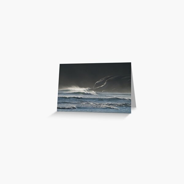 Item preview, Stormy Evening at Wilsons Promontory designed and sold by johnrf.