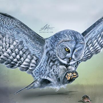 Artwork thumbnail, Digital Owl by wayneflint