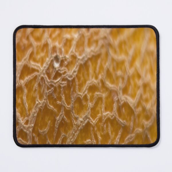Item preview, Snake skin designed and sold by Md Rashid  Hasan.