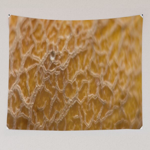 Item preview, Snake skin designed and sold by Md Rashid  Hasan.