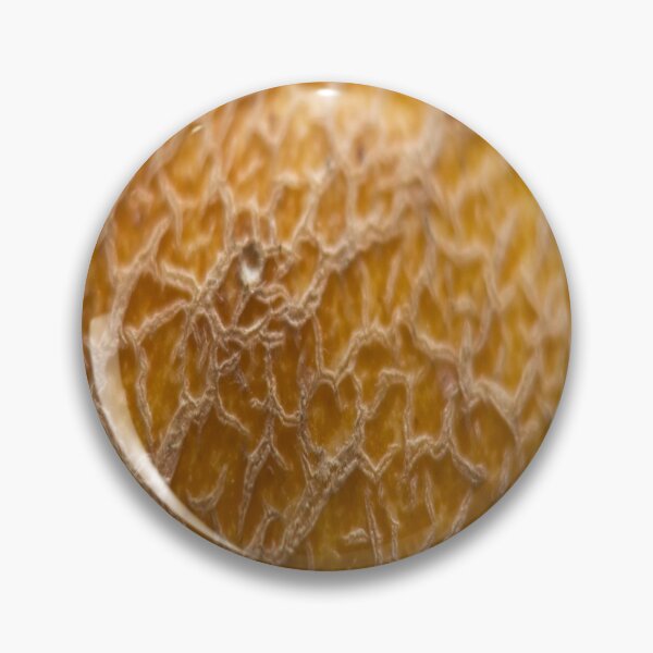 Item preview, Snake skin designed and sold by Md Rashid  Hasan.