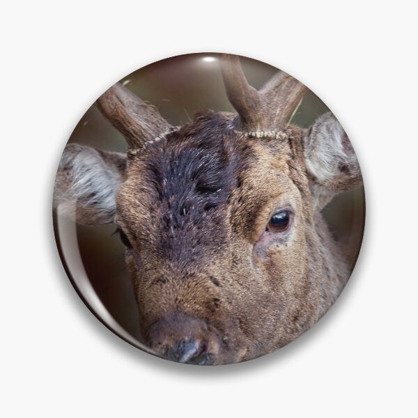 Item preview, Deer Stag designed and sold by Martyn R Arnold Fine Art Nature & Landscape Photography.