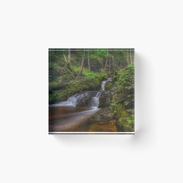 Item preview, Beautiful Austrian Forests designed and sold by customgiftstore.
