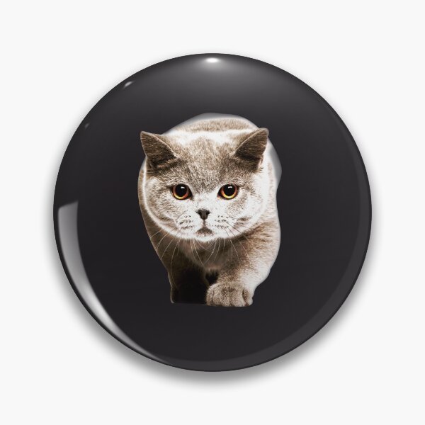 Item preview, A cute cat that's looking for food designed and sold by seunghu.