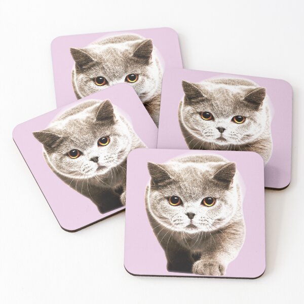 Item preview, A cute cat that's looking for food designed and sold by seunghu.