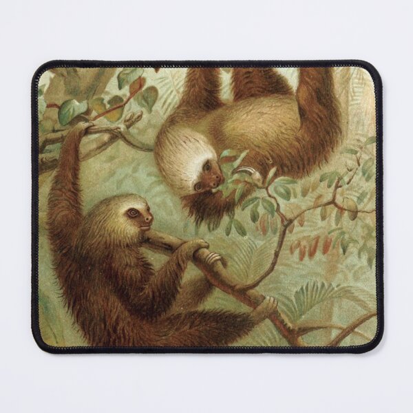 Item preview, Two Toed Sloth Vintage Artwork | Zoology Arts | Biology Art | Drawing Of Sloths designed and sold by WadeLestat.