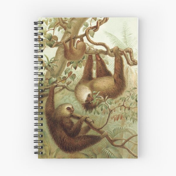 Item preview, Two Toed Sloth Vintage Artwork | Zoology Arts | Biology Art | Drawing Of Sloths designed and sold by WadeLestat.