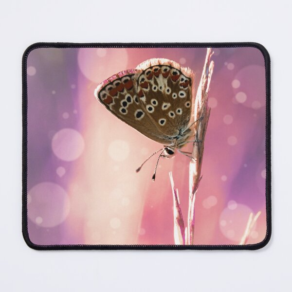 Item preview, Colorful insect world | The little blue sun rose designed and sold by BBPGallery.