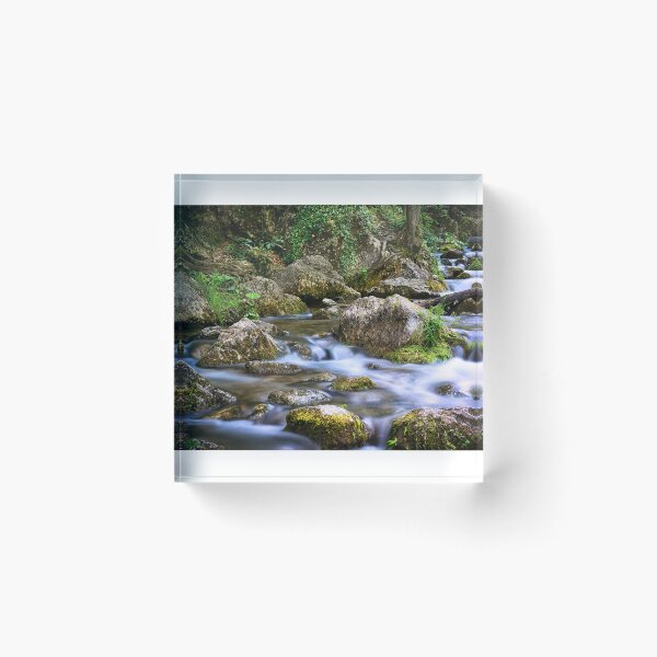 Item preview, Austrian Forests and Streams designed and sold by customgiftstore.
